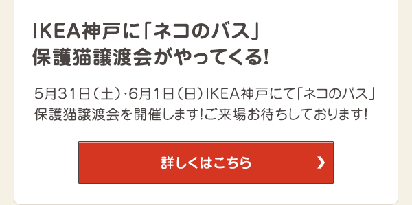5月31日（土）・6月1日（日）IKEA神戸にて「ネコのバス」保護猫譲渡会を開催します！ご来場をお待ちしております！