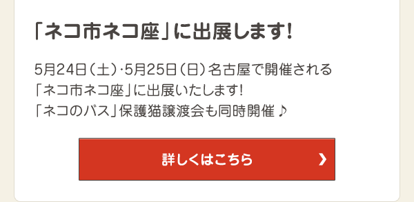 5月24日（土）・5月25日（日）名古屋で開催される「ネコ市ネコ座」に出展いたします！「ネコのバス」保護猫譲渡会も同時開催♪