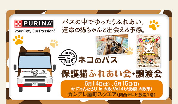 ＼猫好きさんの祭典♪／ 「にゃんだらけ in 大阪 Vol.4」に出展します！