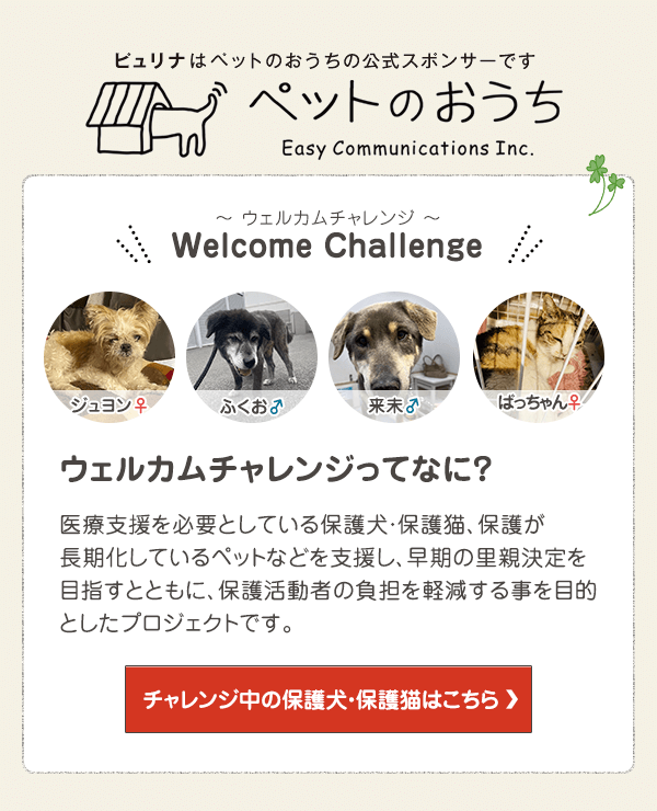 「ペットのおうち」でウェルカムチャレンジ中の保護犬・保護猫はこちら