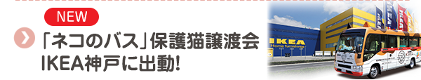 【NEW】「ネコのバス」保護猫譲渡会IKEA神戸に出動！