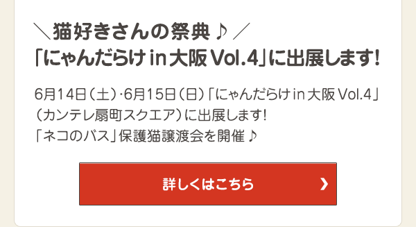 6月14日（土）・6月15日（日）「にゃんだらけin大阪Vol.4」（カンテレ扇町スクエア）に出展します！「ネコのバス」保護猫譲渡会を開催♪
