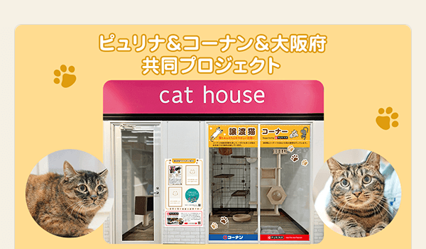 コーナン×PURINA「おとな猫専用譲渡ブース」対応店舗が拡大！
