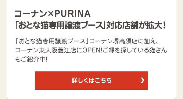 「おとな猫専用譲渡ブース」コーナン境高須店に加え、コーナン東大阪菱江店にOPEN！ご縁を探している猫さんもご紹介中！