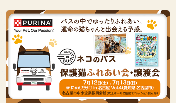 ＼猫好きさんの祭典♪／「にゃんだらけ in 名古屋 Vol.4」に出展します！