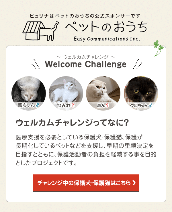 「ペットのおうち」でウェルカムチャレンジ中の保護犬・保護猫はこちら
