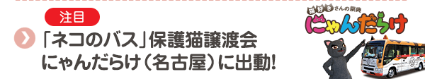 【注目】「ネコのバス」保護猫譲渡会 にゃんだらけ（名古屋）に出動