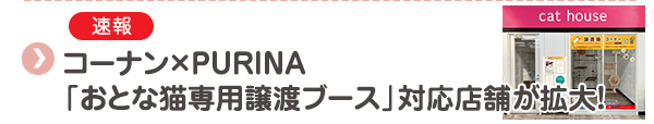【速報】コーナン×PURINA「おとな猫専用譲渡ブース」対応店舗が拡大！