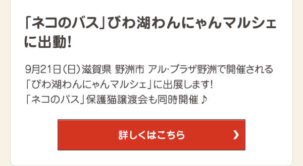 9月21日（日）滋賀県 野洲市 アル・プラザ野洲で開催される「びわ湖わんにゃんマルシェ」に出展します！ 「ネコのバス」保護猫譲渡会も同時開催！