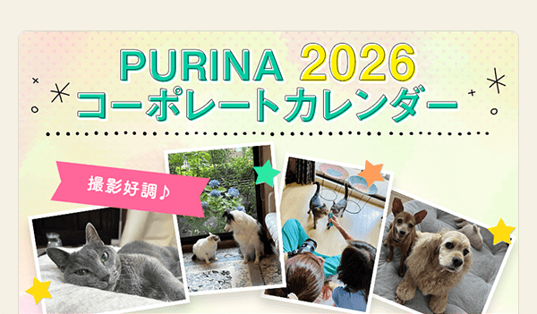 2026年「ピュリナ」カレンダー撮影順調！