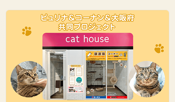コーナン×PURINA「おとな猫専用譲渡ブース」情報更新中！