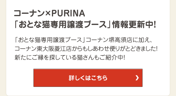 「おとな猫専用譲渡ブース」コーナン堺高須店に加え、コーナン東大阪菱江店からもしあわせ便りがとどきました！新たにご縁を探している猫さんもご紹介中！