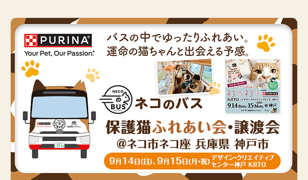 ネコ市ネコ座（神戸）に出展します！ 