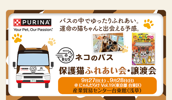 ＼猫好きさんの祭典♪／ 「にゃんだらけ Vol.19」@浅草に出展します！