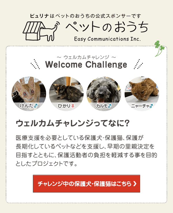 「ペットのおうち」でウェルカムチャレンジ中の保護犬・保護猫はこちら