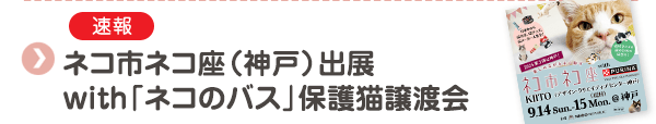 【速報】ネコ市ネコ座（神戸）出展 with「ネコのバス」保護猫譲渡会