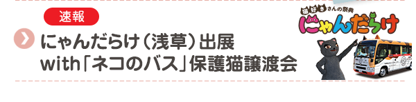 【速報】にゃんだらけ（浅草）出展 with「ネコのバス」保護猫譲渡会