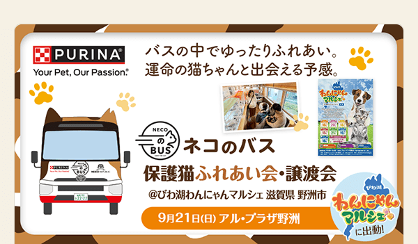 「ネコのバス」びわ湖わんにゃんマルシェに出動！