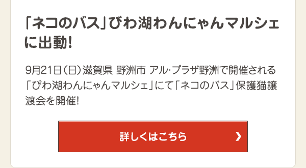 9月21日（日）滋賀県 野洲市 アル・プラザ野洲で開催される「びわ湖わんにゃんマルシェ」にて「ネコのバス」保護猫譲渡会を開催！