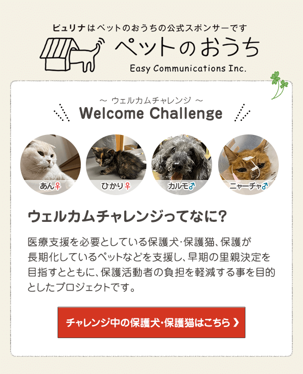 「ペットのおうち」でウェルカムチャレンジ中の保護犬・保護猫はこちら