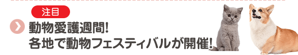 【注目】動物愛護週間！各地で動物フェスティバルが開催！