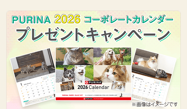 ピュリナ カレンダー 2026 抽選で100名様にプレゼント！！