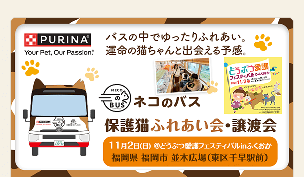 どうぶつ愛護フェスティバルinふくおかに「ネコのバス」保護猫譲渡会がやって来る！