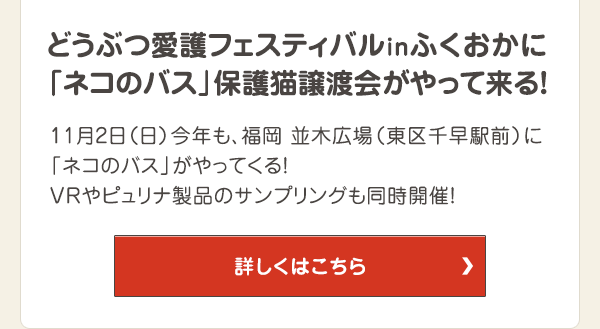 11月2日（日）今年も、福岡 並木広場（東区千早駅前）に「ネコのバス」がやってくる！VRやピュリナ製品のサンプリングも同時開催！