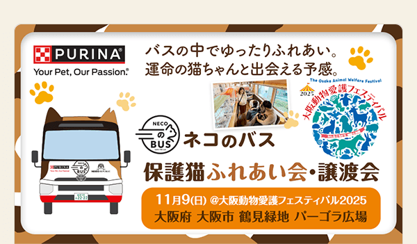 大阪動物愛護フェスティバル2025に「ネコのバス」保護猫譲渡会がやって来る！