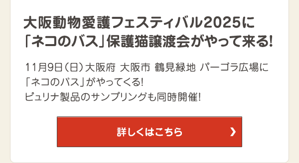 11月9日（日）大阪府 大阪市 鶴見緑地 パーゴラ広場に「ネコのバス」がやってくる！ピュリナ製品のサンプリングも同時開催！