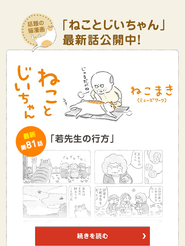 話題の猫漫画「ねことじいちゃん」最新話公開中！ 第81話「若先生の行方」