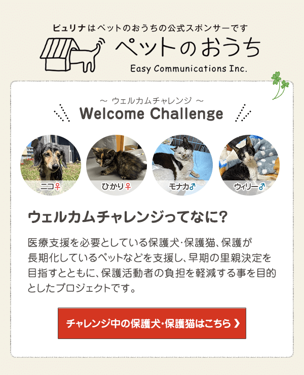 「ペットのおうち」でウェルカムチャレンジ中の保護犬・保護猫はこちら