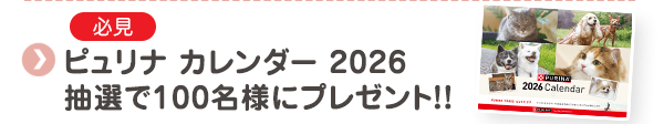 【必見】ピュリナ カレンダー 2026 抽選で100名様にプレゼント！！