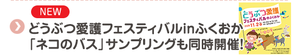 【NEW】どうぶつ愛護フェスティバルinふくおか 「ネコのバス」サンプリングも同時開催！