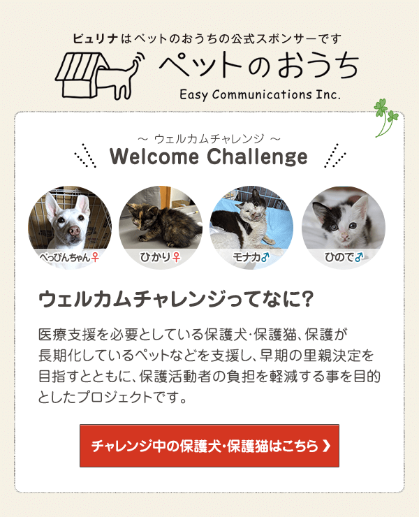 「ペットのおうち」でウェルカムチャレンジ中の保護犬・保護猫はこちら