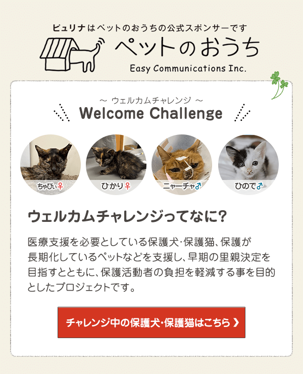 「ペットのおうち」でウェルカムチャレンジ中の保護犬・保護猫はこちら