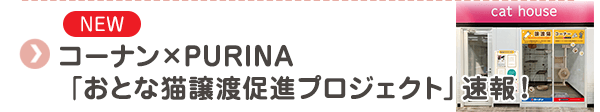 コーナン×PURINA 「おとな猫譲渡促進プロジェクト」速報！