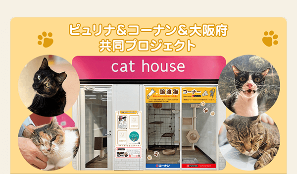 コーナン×ピュリナ×大阪府 おとな猫譲渡促進プロジェクト