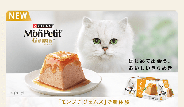 「モンプチ ジェムズ」新登場！