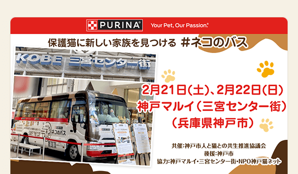 猫の日に「ネコのバス」保護猫譲渡会！