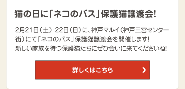 2月21日（土）・22日（日）に、神戸マルイ（神戸三宮センター街）にて「ネコのバス」保護猫譲渡会を開催します！新しい家族を待つ保護猫たちにぜひ会いに来てくださいね！