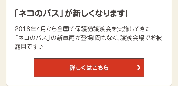 2018年4月から全国で保護猫譲渡会を実施してきた「ネコのバス」の新車両が登場！間もなく、譲渡会場でお披露目です♪