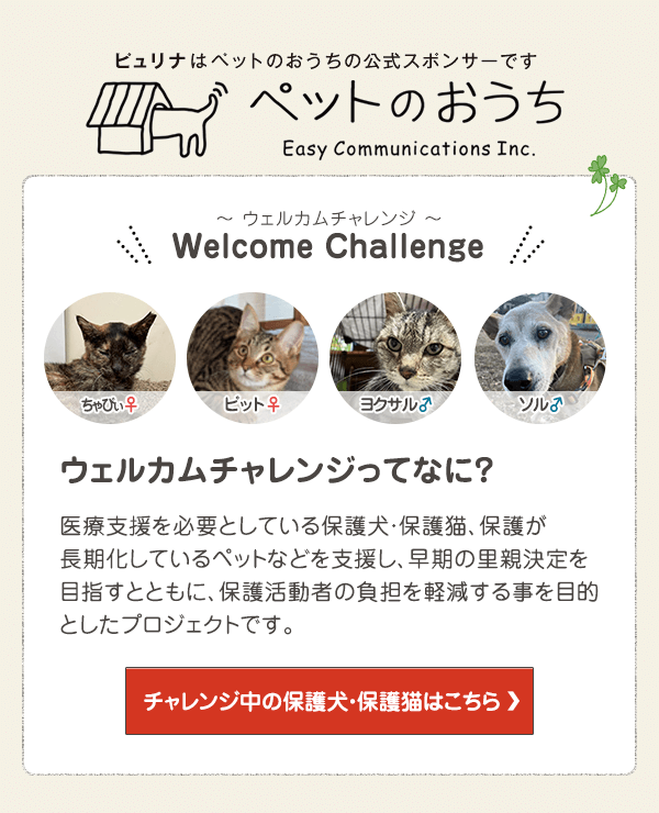 「ペットのおうち」でウェルカムチャレンジ中の保護犬・保護猫はこちら