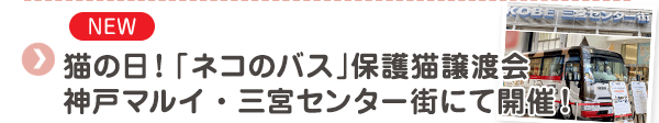 【NEW】猫の日！「ネコのバス」保護猫譲渡会　神戸マルイ・三宮センター街にて開催！