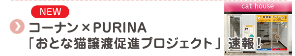 【NEW】コーナン×ピュリナ×大阪府　おとな猫譲渡促進プロジェクト最新情報
